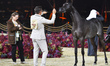 Arabian Fillies two-year old Fidha Al Rayyan, owned by Abdulla Khalifa J A Al Kuwari of Qa...