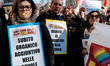  National strike of school personnel under the Ministry of Education, by the autonomous tr...