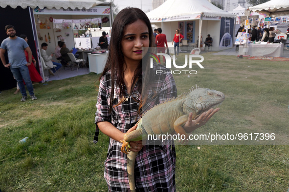 A woman holds an Iguana during one of the biggest pet-gathering events organized in Noida, on the outskirts of New Delhi, India on February...