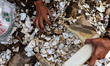 A small group of volunteers worked to clean up styrofoam from the Ciliwung River in Bogor,...