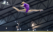  Chiaki Hatakeda of Japan competes during the women's balance beam Final at the 15th FIG A...