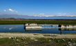 A shepherd with flock of sheep (livestock) on a sunny day in Sopore District Baramulla Jam...