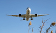 Boeing 787-9 Dreamliner, from Qatar Aieways company, landing at Barcelona airport, in Barc...