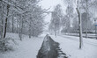 Snow covered road and trees. Blizzard hits the Netherlands and Belgium during a low temper...