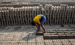 Dhaka, Bangladesh - A Child worker is organizing the fresh made bricks. The world is going...