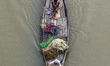 Fishermen row their fishing boat in the Brahmaputra river in Guwahati, Assam, India on 18...