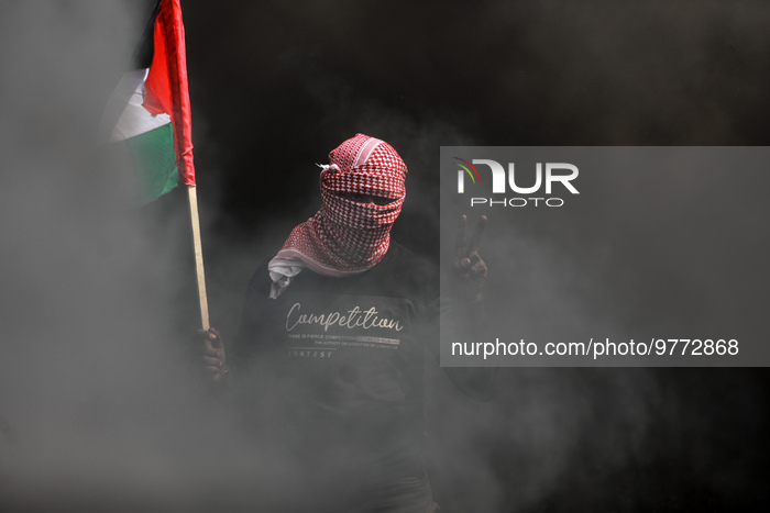 Palestine Israel Protest