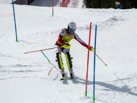 Adrian PERTL of Austria in action during Audi FIS Alpine Ski World Cup 2023 Slalom Discipline Men's Downhill on March 19, 2023 in El Tarter,...