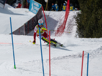 Adrian PERTL of Austria in action during Audi FIS Alpine Ski World Cup 2023 Slalom Discipline Men's Downhill on March 19, 2023 in El Tarter,...