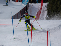 Kristoffer JAKOBSEN of SWE in action during Audi FIS Alpine Ski World Cup 2023 Slalom Discipline Men's Downhill on March 19, 2023 in El Tart...