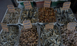 Dried fish market at Colombo Street on March 21, 2023, in Colombo, Sri Lanka. The Executiv...