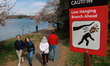 People visit blooming cherry blossom trees at the Tidal Basin in Washington, D.C. on March...