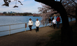 People visit blooming cherry blossom trees at the Tidal Basin in Washington, D.C. on March...