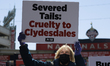 A PETA demonstrator holds a sign outside of Nationals Park stadium in Washington, D.C. on...