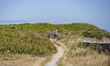 Daily life at the sea during a blue sky day at Pembroke beach with many locals and tourist...