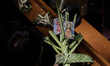  Parishioners at the Metropolitan Cathedral during the ''Palm Sunday'' mass at the Metropo...