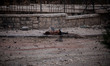 Syria, Aleppo, 2012/10/02, Saif Al-Dawla district..The corpse of a young girl, killed by a...