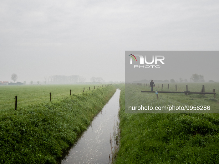 Walking In Nature During 'Earth Day', In The Netherlands