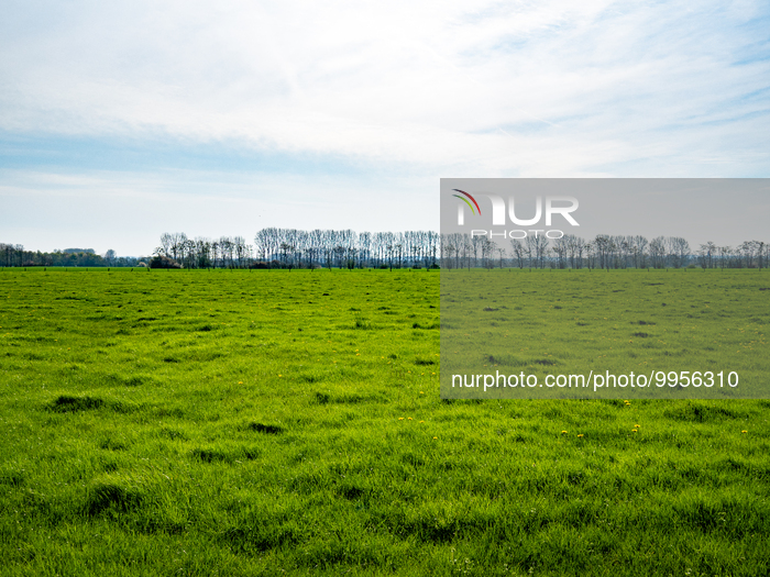 Walking In Nature During 'Earth Day', In The Netherlands