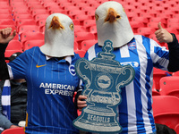 Brighton and Hove Albion Fans during The FA Cup - Semi-Final soccer match between Brighton and Hove Albion against Manchester  United  at We...
