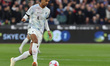 Liverpool's Joel Mateo in action during English Premier League soccer match between West H...